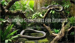 climbing structures for exercise
