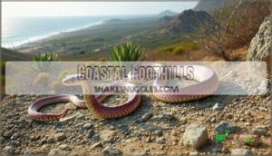 coastal foothills