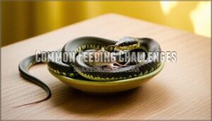 common feeding challenges