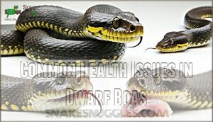 common health issues in dwarf boas