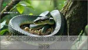 common misconceptions about snake diets common misconceptions about snake diets