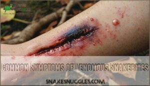 common symptoms of venomous snakebites