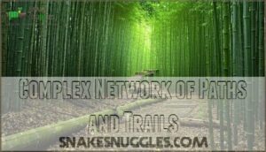 complex network of paths and trails