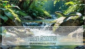 conservation efforts for riparian zone snakes