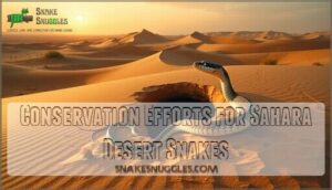 conservation efforts for sahara desert snakes