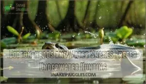 cotton-heads and water snakes prefer underwater hunting cotton-heads and water snakes prefer underwater hunting