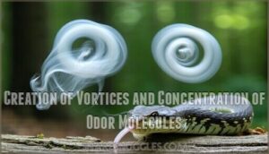 creation of vortices and concentration of odor molecules