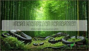 dense canopy and understory