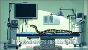 diagnostic tests for impaction diagnostic tests for impaction