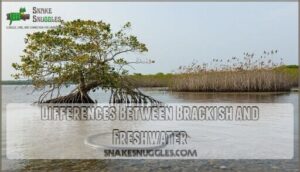 differences between brackish and freshwater