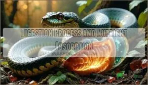 digestion process and nutrient absorption digestion process and nutrient absorption