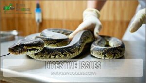 digestive issues