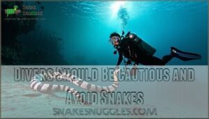 divers should be cautious and avoid snakes