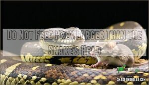 do not feed prey larger than the snake's head