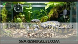 duration and stages of snake quarantine