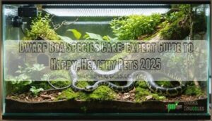 dwarf boa species care information
