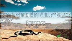 east african rift valley: snake paradise