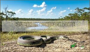eastern diamondback range