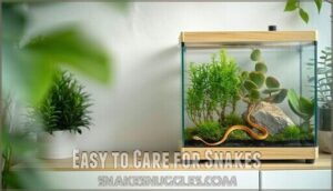 easy to care for snakes