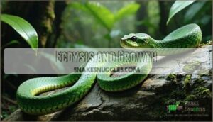 ecdysis and growth