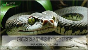 ecdysis and its importance