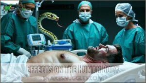 effects on the human body