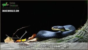 elapidae family venoms