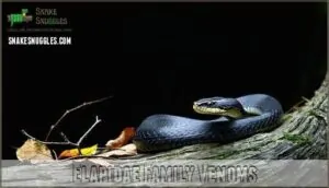 elapidae family venoms elapidae family venoms