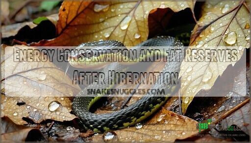 Snake Hibernation Habits: Survival Secrets of Winter Dormancy