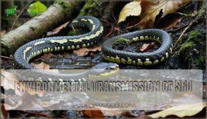 environmental transmission of sfd