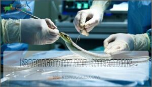 esophagotomy and enterotomy