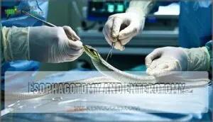 esophagotomy and enterotomy esophagotomy and enterotomy