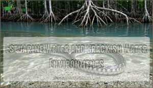 estuarine water and brackish water environments
