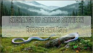 exchange of faunas between europe and asia