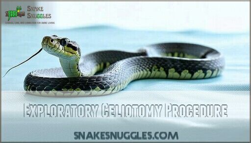 Impacted Snake Belly Treatment: 5 Proven Methods That Save Lives