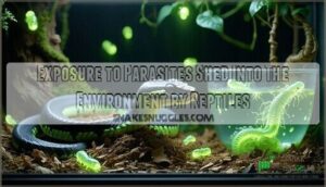 exposure to parasites shed into the environment by reptiles