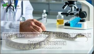 fecal examinations and their importance in parasite detection