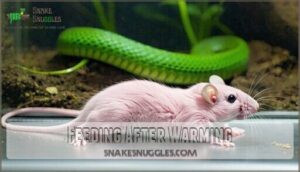 feeding after warming