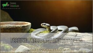 feeding frequency and patterns