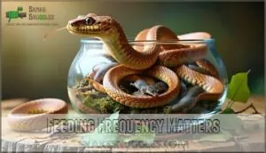 feeding frequency matters feeding frequency matters