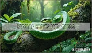 feeding habits and stress feeding habits and stress