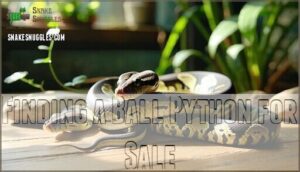 finding a ball python for sale