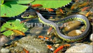 fish and amphibians