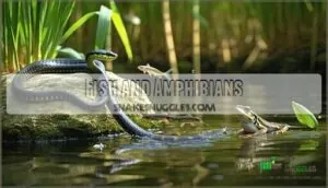 fish and amphibians fish and amphibians