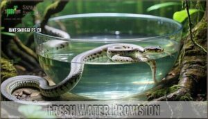 fresh water provision