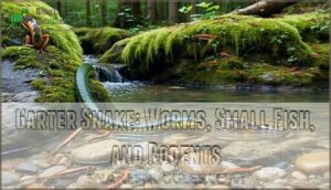 garter snake: worms, small fish, and rodents