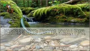 garter snake: worms, small fish, and rodents garter snake: worms, small fish, and rodents