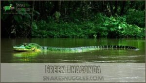 green anaconda