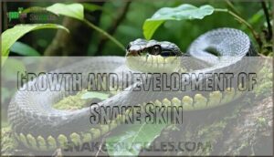 growth and development of snake skin