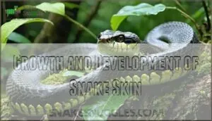growth and development of snake skin growth and development of snake skin